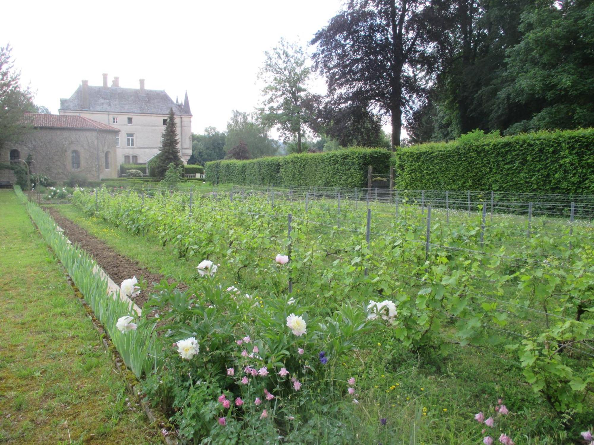 Chateau Des Monthairons Hotel Restaurant Gastromaison Spa Privatif Les Monthairons Esterno foto